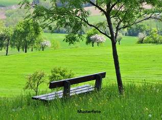 Land- und Forstflächen mit vielseitig nutzbaren Wirtschaftsgebäuden, Scheune & Stahlcontainer, 349500 €, Immobilien-Grund und Boden in 6861 Gemeinde Alberschwende Land- und Forstflächen mit vielseitig nutzbaren Wirtschaftsgebäuden, Scheune & Stahlcontainer, 349500 €, Immobilien-Grund und Boden in 6861 Gemeinde Alberschwende