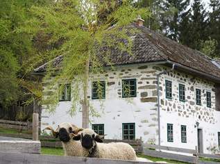 Traditioneller Mühlviertler Stoabloßhof in idyllischer Ruhelage - Oberhalb der Nebelgrenze, 435000 €, Immobilien-Häuser in 4191 Vorderweißenbach Traditioneller Mühlviertler Stoabloßhof in idyllischer Ruhelage - Oberhalb der Nebelgrenze, 435000 €, Immobilien-Häuser in 4191 Vorderweißenbach