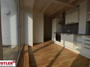 OPEN HOUSE - Hofseitige Dachgeschosswohnung mit Terrasse, 810.38 €, Immobilien-Wohnungen in 1220 Donaustadt