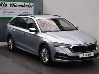 Octavia 2.0 TDI 4x4 DSG Ambition / Anhängerkupplung / Kamera, 18490 €, Auto & Fahrrad-Autos in 8160 Weiz Octavia 2.0 TDI 4x4 DSG Ambition / Anhängerkupplung / Kamera, 18490 €, Auto & Fahrrad-Autos in 8160 Weiz