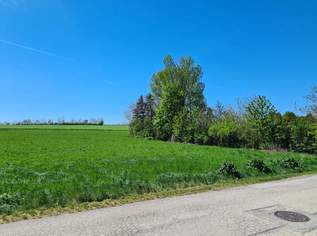 Grundstück für ihren Wohntraum in Steinbrunn (Provisionsfrei), 309000 €, Immobilien-Grund und Boden in 7035 Steinbrunn Grundstück für ihren Wohntraum in Steinbrunn (Provisionsfrei), 309000 €, Immobilien-Grund und Boden in 7035 Steinbrunn