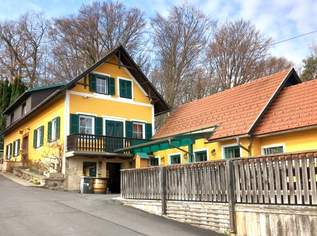 Weinanbaugebiet mit Wohn- und Ferienhaus inklusive Gewölbekeller