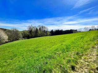 RIES: Leistbares, sonniges Grundstück am Rande von Graz!, 149000 €, Immobilien-Grund und Boden in Steiermark