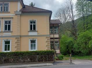 Investobjekt in Grünlage, 250000 €, Immobilien-Häuser in 8692 Gemeinde Neuberg an der Mürz
