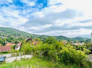 ++ HIMMLISCH WOHNEN ++ Exklusives Penthouse mit Dachterrasse, 630000 €, Immobilien-Wohnungen in 2371 Katastralgemeinde Hinterbrühl