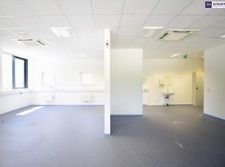Ihr neuer Firmenstandort: Moderne Gewerbeimmobilie in Laßnitzhöhe - Büro- und Geschäftsräumlichkeiten auf 136 m² mit erstklassiger Ausstattung, KFZ-Abstellplätzen, E-Ladestationen & Klimaanlage! Vereinbaren Sie gleich einen Termin!, 2205 €, Immobilien-Gewerbeobjekte in 8301 Laßnitzhöhe Ihr neuer Firmenstandort: Moderne Gewerbeimmobilie in Laßnitzhöhe - Büro- und Geschäftsräumlichkeiten auf 136 m² mit erstklassiger Ausstattung, KFZ-Abstellplätzen, E-Ladestationen & Klimaanlage! Vereinbaren Sie gleich einen Termin!, 2205 €, Immobilien-Gewerbeobjekte in 8301 Laßnitzhöhe