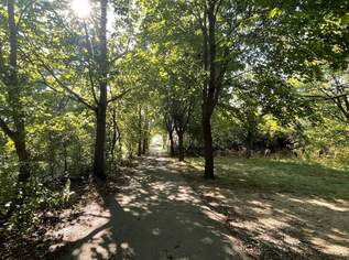 Ruhig gelegenes Baugrundstück mit eigener Zufahrt in Bad Fischau-Brunn, 439000 €, Immobilien-Grund und Boden in 2721 Bad Fischau