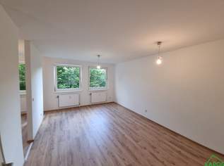 Moderne 1,5 -Zimmer Wohnung mit Einbauküche, 925.11 €, Immobilien-Wohnungen in 1100 Favoriten