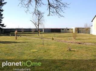 Große Grundstücke mit Platz für zwei Häuser sind eine Rarität, 609000 €, Immobilien-Grund und Boden in 2486 Katastralgemeinde Pottendorf Große Grundstücke mit Platz für zwei Häuser sind eine Rarität, 609000 €, Immobilien-Grund und Boden in 2486 Katastralgemeinde Pottendorf