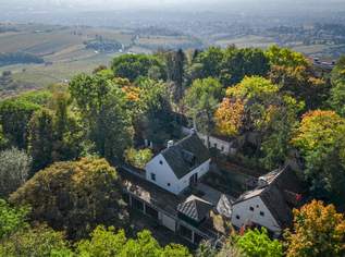 Liebe zur Nostalgie: Historische Villa am Kahlenberg mit Blick über Wien, 9800000 €, Immobilien-Häuser in 1190 Döbling Liebe zur Nostalgie: Historische Villa am Kahlenberg mit Blick über Wien, 9800000 €, Immobilien-Häuser in 1190 Döbling