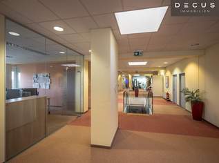 + + + ATTRAKTIVES BÜROHAUS + + + ca. 1.800 m² + + + NÄHE LIEBLGASSE + + +, 6897.63 €, Immobilien-Gewerbeobjekte in 1220 Donaustadt