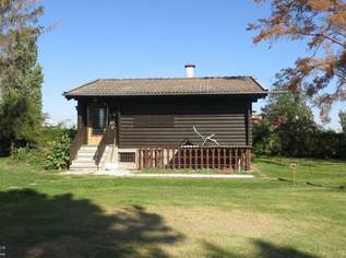 Urbanes Wohnen mit großem Garten mit kleinem Einfamilienhaus in Essling, 1295 €, Immobilien-Häuser in 1220 Donaustadt Urbanes Wohnen mit großem Garten mit kleinem Einfamilienhaus in Essling, 1295 €, Immobilien-Häuser in 1220 Donaustadt