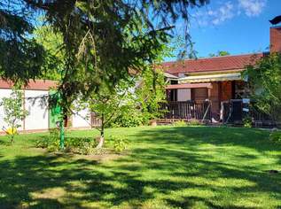 Charmantes Sommerhaus mit Potenzial in Pottendorf | ZELLMANN IMMOBILIEN, 260000 €, Immobilien-Häuser in 2486 Katastralgemeinde Pottendorf