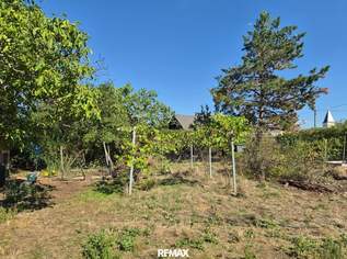"Für PRIVATE und BAUTRÄGER!", 270000 €, Immobilien-Grund und Boden in 2601 Sollenau "Für PRIVATE und BAUTRÄGER!", 270000 €, Immobilien-Grund und Boden in 2601 Sollenau