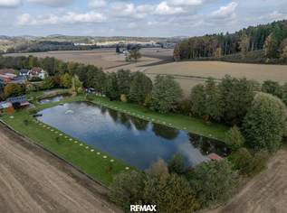 Fischteichanlage mit Infrastruktur & Fischbestand – technisch ausgereifte Anlage in Ruhelage!, 319000 €, Immobilien-Grund und Boden in 8504 Preding