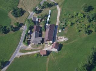 kleines Zimmerin großzügiger WG am Bauernhof, 0 €, Immobilien-Kleinobjekte & WGs in 3353 Gemeinde Biberbach