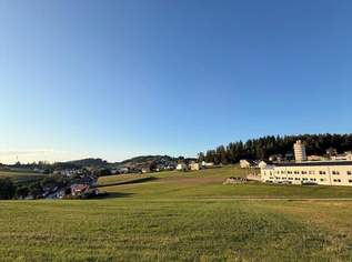 Attraktives Grundstück mit Potential in Zentrumsnähe!, 123300 €, Immobilien-Grund und Boden in 4150 Rohrbach-Berg Attraktives Grundstück mit Potential in Zentrumsnähe!, 123300 €, Immobilien-Grund und Boden in 4150 Rohrbach-Berg