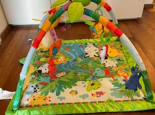 Fisher-Price Erlebnisdecke / Spielebogen