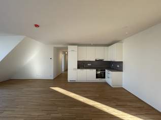 Helle 4-Zimmer Wohnung mit 4 Terrassen und 2 Badezimmern - Hier werden Träume war!, 868000 €, Immobilien-Wohnungen in 1220 Donaustadt