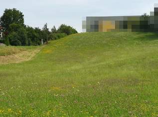 Grünland (als Bauerwartungsland im OEK), 320000 €, Immobilien-Grund und Boden in 5132 Geretsberg