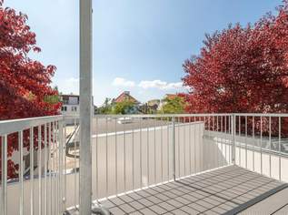 ++NEU++ Fantastischer 3-Zimmer Neubauwohnung mit zwei Balkonen, Ruhelage im Hof!, 299000 €, Immobilien-Wohnungen in 1220 Donaustadt ++NEU++ Fantastischer 3-Zimmer Neubauwohnung mit zwei Balkonen, Ruhelage im Hof!, 299000 €, Immobilien-Wohnungen in 1220 Donaustadt