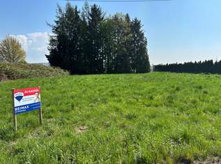 Voll aufgeschlossenes Grundstück in Autobahnnähe - kein Bauzwang, 0 €, Immobilien-Grund und Boden in 4975 Suben Voll aufgeschlossenes Grundstück in Autobahnnähe - kein Bauzwang, 0 €, Immobilien-Grund und Boden in 4975 Suben