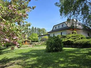 Traumanwesen - Wohnen - Arbeiten - Genießen - Ihr neues Zuhause mit viel Freiraum!, 580000 €, Immobilien-Häuser in 2225 Zistersdorf Traumanwesen - Wohnen - Arbeiten - Genießen - Ihr neues Zuhause mit viel Freiraum!, 580000 €, Immobilien-Häuser in 2225 Zistersdorf