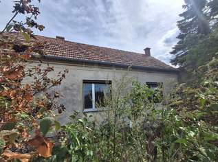 ,,Kleines Haus und großer Obstgarten in Hornstein!", 465000 €, Immobilien-Häuser in 7053 Hornstein ,,Kleines Haus und großer Obstgarten in Hornstein!", 465000 €, Immobilien-Häuser in 7053 Hornstein