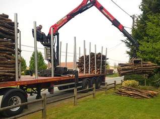 Brennholz bereit für den Einsatz, 50 €, Haus, Bau, Garten-Hausbau & Werkzeug in 8230 Hartberg Brennholz bereit für den Einsatz, 50 €, Haus, Bau, Garten-Hausbau & Werkzeug in 8230 Hartberg