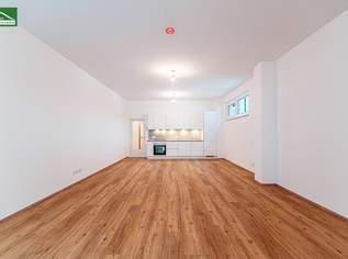 Erstbezugs-Büro oder Praxis mit Hof-Gärtchen zum Nettopreis! Küche und hochwertige Ausstattung inklusive!, 375800 €, Immobilien-Gewerbeobjekte in 1140 Penzing