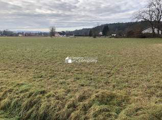 Baugrund nahe Jennersdorf, 0 €, Immobilien-Grund und Boden in 8380 Rax
