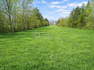 Grundstück Nr. 1 von 4 in Mannersdorf/Leithagebirge zu verkaufen - 483m², 129000 €, Immobilien-Grund und Boden in 2452 Gemeinde Mannersdorf am Leithagebirge