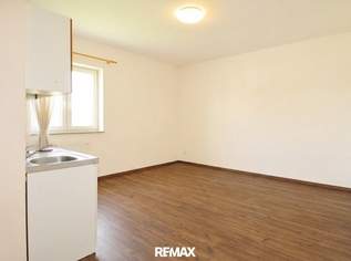 Gepflegtes Mini-Apartment mit Badezimmer in zentraler Lage! Nähe BMW, SKF!!!, 59444 €, Immobilien-Wohnungen in 4400 Steyr