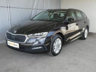 Škoda OCTAVIA Combi 4x4 Ambition TDI DSG, 21690 €, Auto & Fahrrad-Autos in 8430 Leibnitz