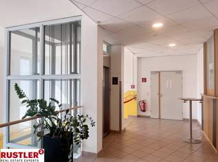 Top Adresse - mitten im Zentrum von Mödling zu mieten!, 2982.47 €, Immobilien-Gewerbeobjekte in 2340 Gemeinde Mödling