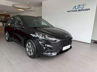 Kuga 1,5 EcoBlue ST-Line X Aut. Panodach, Anhängevor-,, 31600 €, Auto & Fahrrad-Autos in 5165 Berndorf bei Salzburg