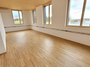 NEUBAU - HOLZQUADRAT - ARBEITE GRÜN, 812.89 €, Immobilien-Gewerbeobjekte in 4540 Bad Hall