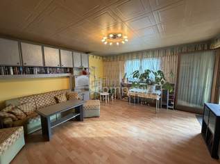 Charmantes Einfamilienhaus im Kleingartenverein auf Eigengrund, 550000 €, Immobilien-Häuser in 1110 Simmering