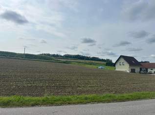 Gewerbegrundstück mit MB Widmung direkt an die Hauptstrasse B 137 angrenzend, 0 €, Immobilien-Gewerbeobjekte in 4631 Krenglbach Gewerbegrundstück mit MB Widmung direkt an die Hauptstrasse B 137 angrenzend, 0 €, Immobilien-Gewerbeobjekte in 4631 Krenglbach