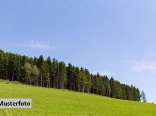 Agrar- und Forstflächen mit naturschutzrechtlichen Einschränkungen, 73800 €, Immobilien-Grund und Boden in 6700 Stadt Bludenz Agrar- und Forstflächen mit naturschutzrechtlichen Einschränkungen, 73800 €, Immobilien-Grund und Boden in 6700 Stadt Bludenz