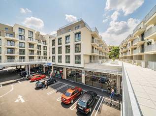 Wohnen in der Dommesgasse, 838.18 €, Immobilien-Wohnungen in 1110 Simmering Wohnen in der Dommesgasse, 838.18 €, Immobilien-Wohnungen in 1110 Simmering