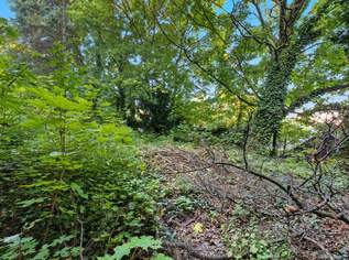 Anleger-Baugrundstück in Bisamberg - Bauland Wohngebiet Widmung!, 298000 €, Immobilien-Grund und Boden in 2102 Bisamberg