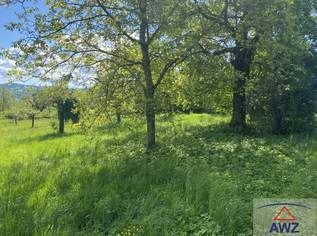 Charmanter Hof in idyllischer Ruhelage! Ideal für Tierliebhaber!, 229000 €, Immobilien-Häuser in 7433 Neustift bei Schlaining Charmanter Hof in idyllischer Ruhelage! Ideal für Tierliebhaber!, 229000 €, Immobilien-Häuser in 7433 Neustift bei Schlaining
