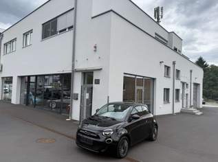 500 Elektro Icon 42 kWh CCS 3 phasig KFZ 586, 15880 €, Auto & Fahrrad-Autos in 8075 Hart bei Graz 500 Elektro Icon 42 kWh CCS 3 phasig KFZ 586, 15880 €, Auto & Fahrrad-Autos in 8075 Hart bei Graz