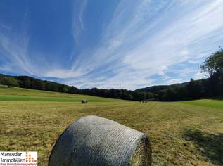 SONNENTAGE GENIESSEN! Landwirtschaftliche Grundstücke für Freizeit- und Hobbyaktivitäten zu verpachten!, 0 €, Immobilien-Grund und Boden in 3040 Katastralgemeinde St. Christophen