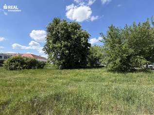 Wohnen nahe dem Neusiedler See - ruhige Lage - zentrumsnah, 279790 €, Immobilien-Grund und Boden in 7100 Gemeinde Neusiedl am See Wohnen nahe dem Neusiedler See - ruhige Lage - zentrumsnah, 279790 €, Immobilien-Grund und Boden in 7100 Gemeinde Neusiedl am See