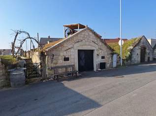 Vermietung Weinkeller (Provisionsfrei), 399 €, Immobilien-Grund und Boden in 7083 Purbach am Neusiedler See