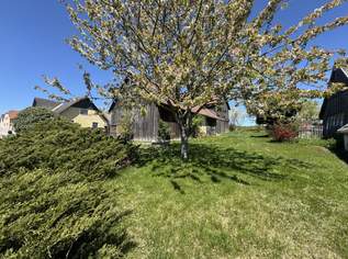 Zurück zur Natur! Mehrfamilienhaus mit unzähligen Nutzungsmöglichkeiten, 275000 €, Immobilien-Häuser in 3542 Großmotten Zurück zur Natur! Mehrfamilienhaus mit unzähligen Nutzungsmöglichkeiten, 275000 €, Immobilien-Häuser in 3542 Großmotten