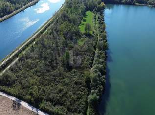 NATURFLÄCHE MIT VIELSEITIGEM POTENZIAL, 189700 €, Immobilien-Grund und Boden in 4063 Hörsching NATURFLÄCHE MIT VIELSEITIGEM POTENZIAL, 189700 €, Immobilien-Grund und Boden in 4063 Hörsching