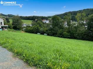 Raus auf´s Land!, 42610 €, Immobilien-Grund und Boden in 2871 Gemeinde Zöbern